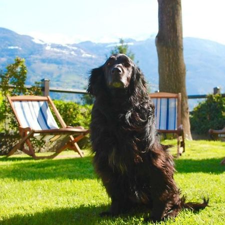 أَويستا Bed & Breakfast Chez Berry المظهر الخارجي الصورة